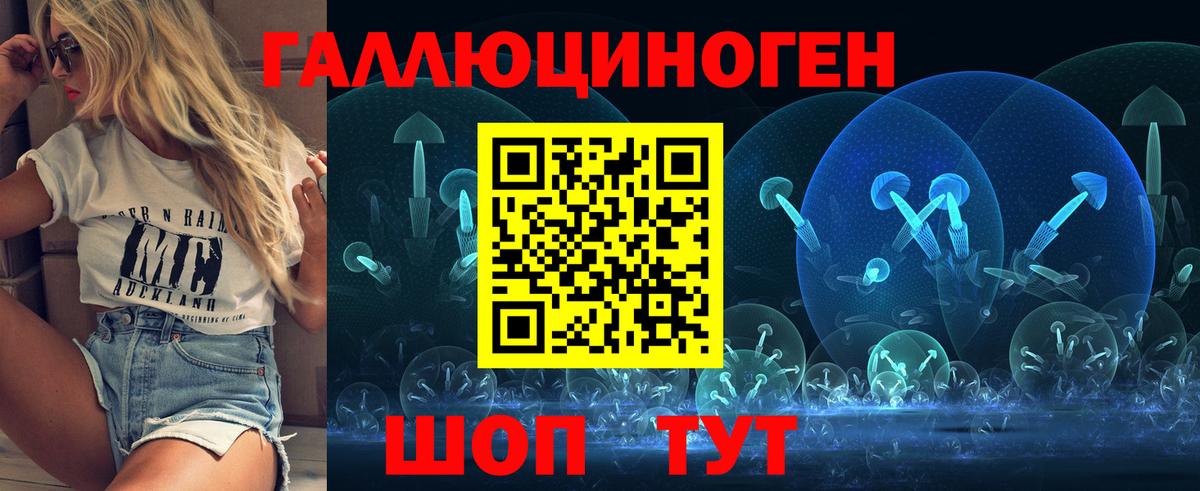 Галлюциногенные грибы Psilocybe Ейск